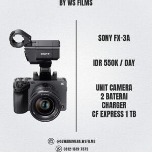 Sony FX-3A